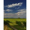 Allegretto Valpolicella Ca'della Scala - 0,75l