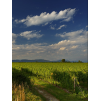 Allegretto Valpolicella Ca'della Scala - 0,75l
