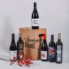degustacni box cervenych spanelskych vin