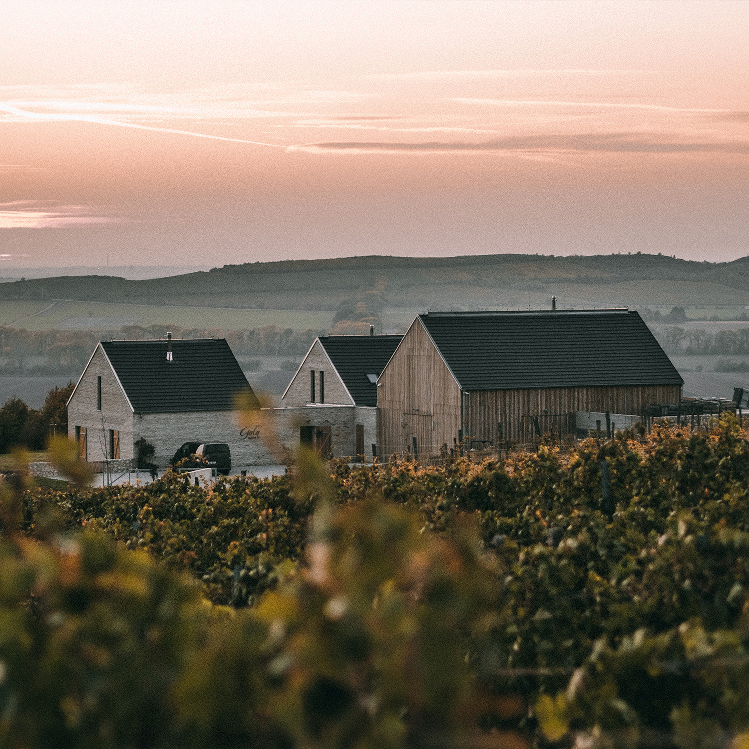 Vinařství Gala – zázemí v Bavorech pod Pálavou