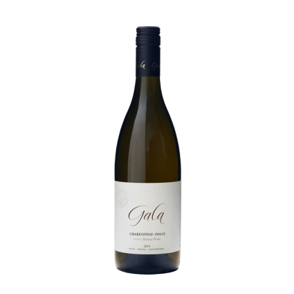 Gala 2019 Chardonnay Pinot Vesnice Bavory Vino e Cuore Wine of Czech Republic Michal Procházka Vinotéka Klánovice
