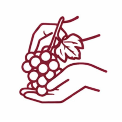 Poctivá ručná práca – vinárstvo Belaj