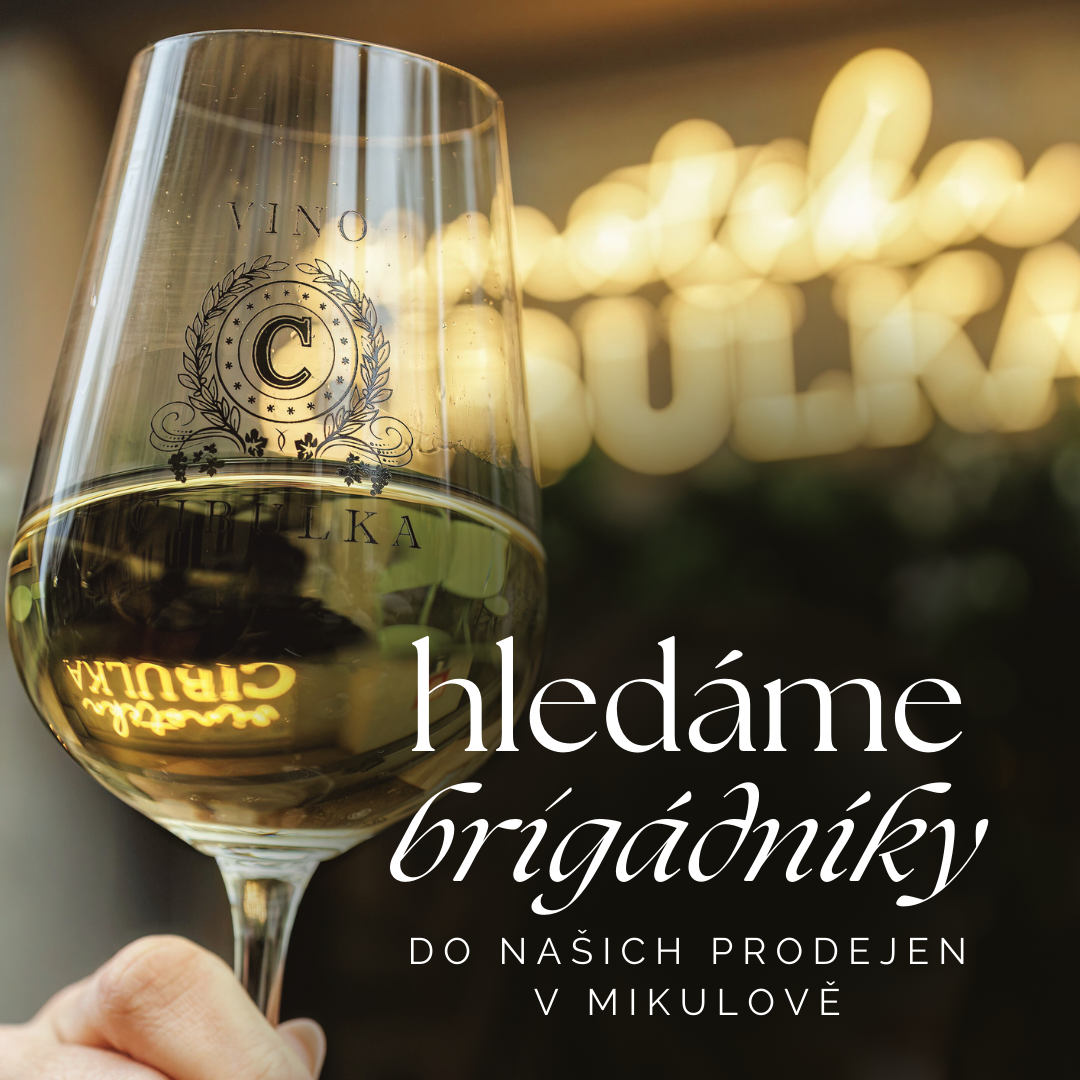 Práce na HPP nebo brigáda v kavárně, vinotéce, bistru a vinném sklepě.