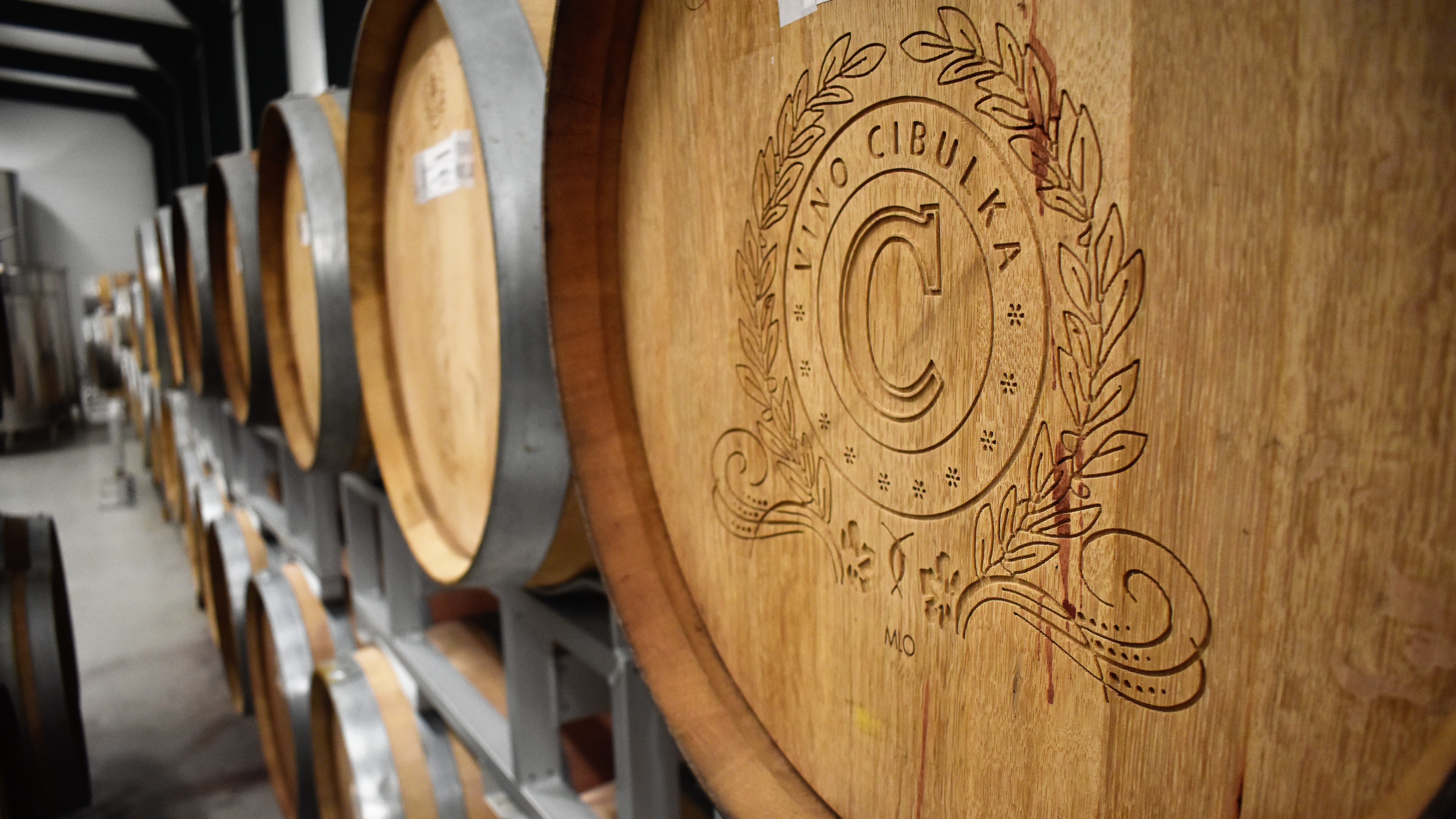 Vinařství Cibulka je chloubou Pálavy. Zdejší bio víno je oceňované i ve světě