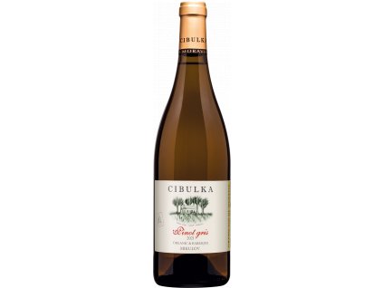 Pinot Gris VH č.š. 5 21RS