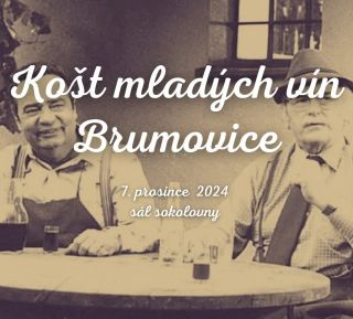 Dneska se zúčastníme místního koštu vín, který je malinko jiný než klasická výstava. Je specifický tím, že vinař donese...