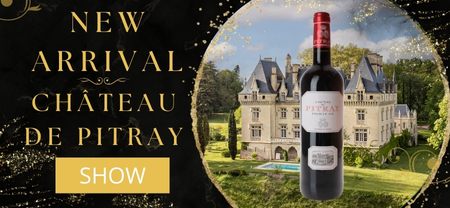 Chateau de Pitray