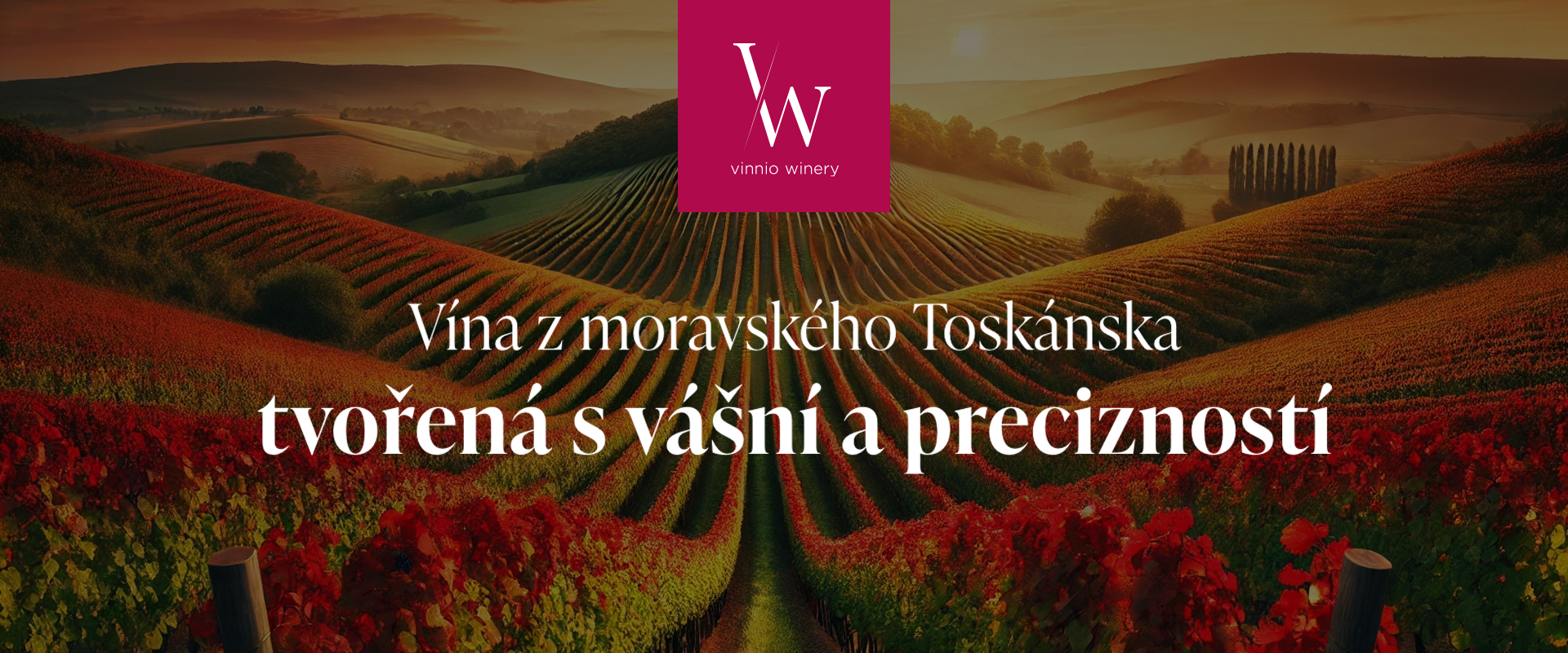 Vinice Moravany 01
