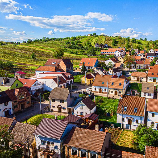Tradiční výstava vín Mutěnice 2025