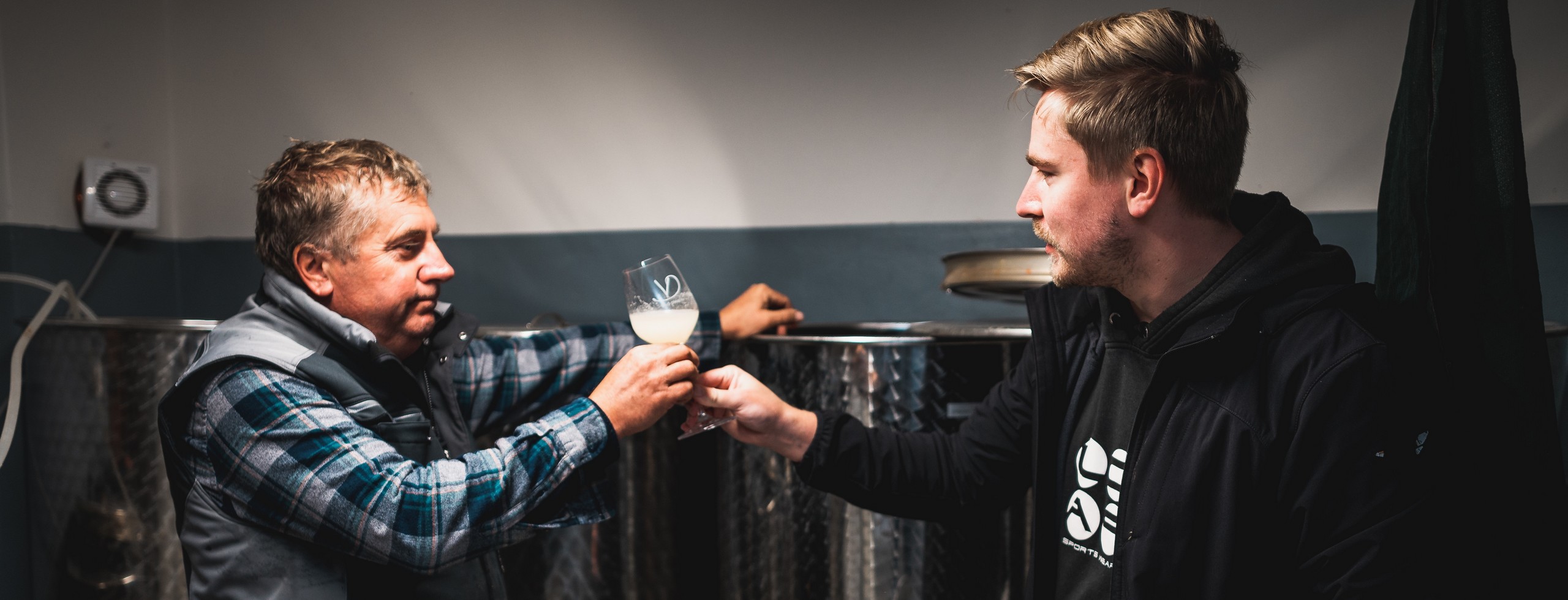 Ochutnávka, degustace mladého vína - Čejkovice