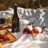 Letní piknik s víny Sauvignon, Zweigeltrebe rosé