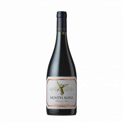 Montes Alpha Pinot noir Vino e Cuore 2015 Wine of Chile Michal Procházka