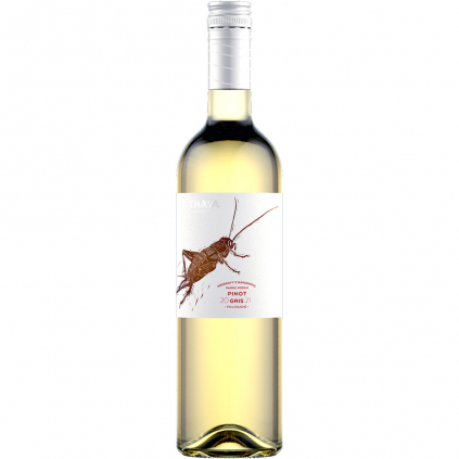 L Pinot Gris 2021 Thaya pozdní sběr suché Pozdravy z národního parku Wine of Czech Republic Michal Procházka Vinotéka Klánovice