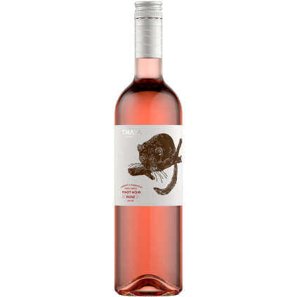 L Pinot noir 2021 Thaya pozdní sběr suché Pozdravy z národního parku Wine of Czech Republic Michal Procházka Vinotéka Klánovice
