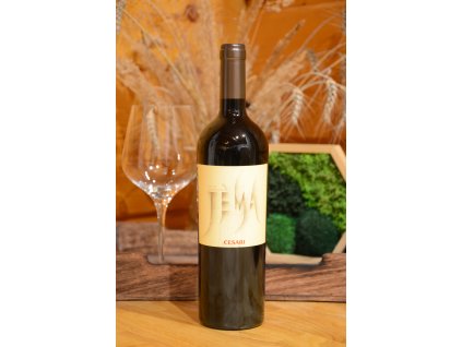 Gerardo Cesari Corvina Jéma 2016 01