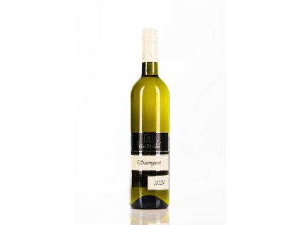 Sauvignon2020