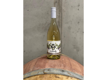 a9f839a8 1460 41fd b413 fff993420d4f