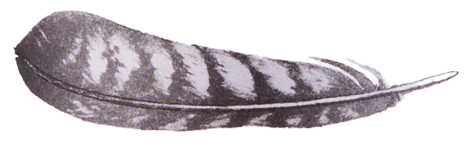 Vinařství Jestřáb