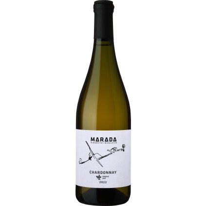 CH dub 2022 kopie (1)