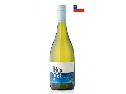 2634 garces silva boya sauvignon blanc