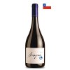 2622 garces silva amayna syrah