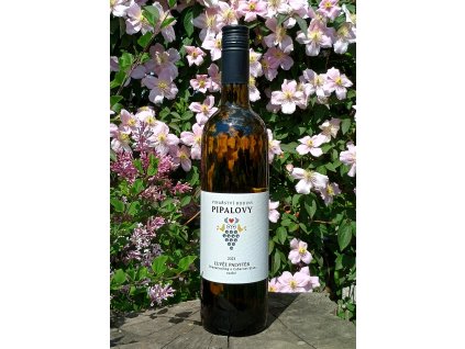 Cuvée Palvitér 2023