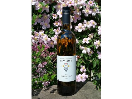 Souvignier gris 2023