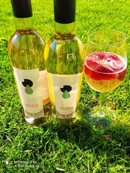 Perlivá vína SolarCo2 a RosénCO2