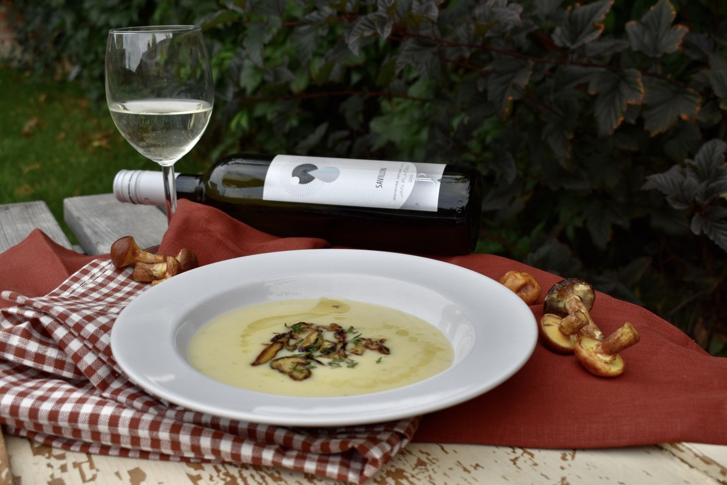 Recepty s vínem: Krémová česnečka s houbami na víně