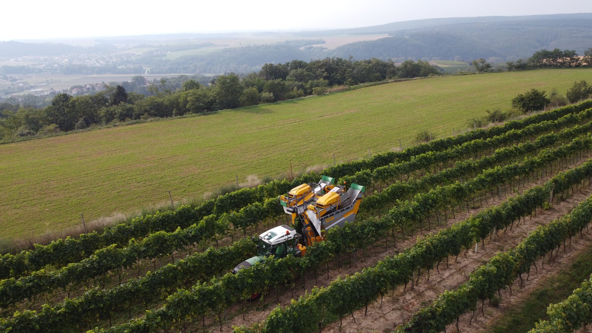Oslavte sklizeň a tradici vinařského řemesla na vinobraní!