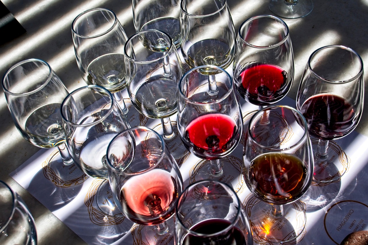 Řízená degustace vína Řízená degustace vína