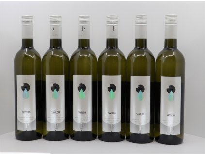 SAVILON 2020, moravské zemské víno (5+1)