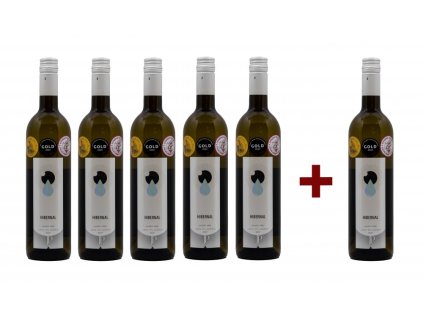 HIBERNAL 2021, pozdní sběr (5+1)