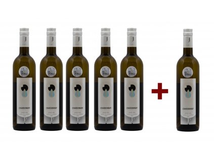 CHARDONNAY 2019, pozdní sběr (5+1)