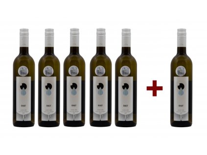 RINOT 2021, pozdní sběr (5+1)