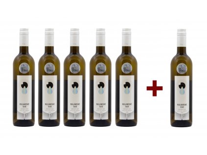 RULANDSKÉ ŠEDÉ 2021, pozdní sběr (5+1)