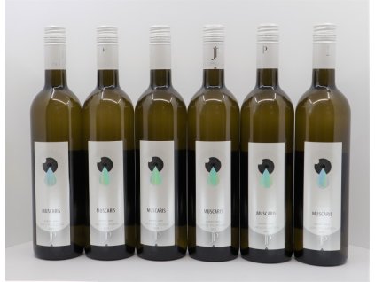 MUSCARIS 2021, pozdní sběr (5+1)