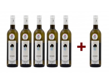 SAUVIGNON, kabinet - suché, 2021 (5+1)