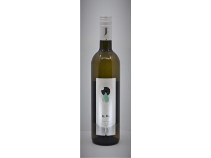 PÁLAVA, pozdní sběr 2021 - sladká