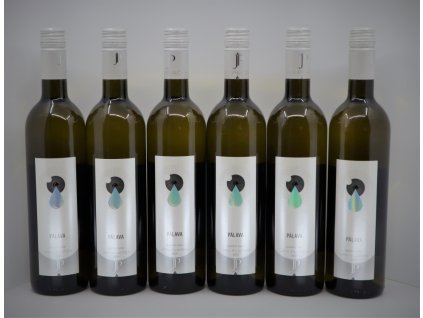 PÁLAVA, pozdní sběr 2021 - sladká (5+1)