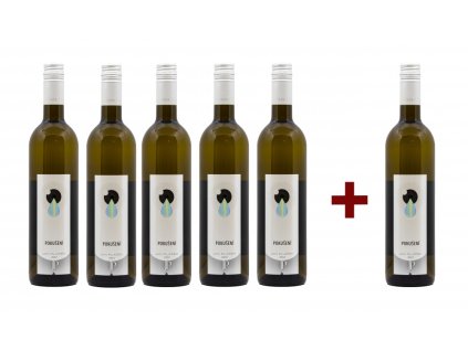 POKUŠENÍ, moravské zemské víno 2022 (5+1)