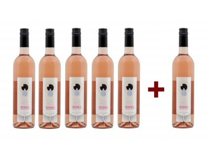 ROSÉNCO2 2022, perlivé víno (5+1)