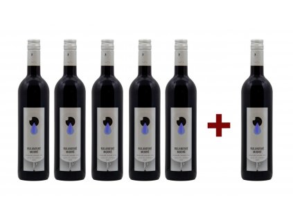 RULANDSKÉ MODRÉ 2020, moravské zemské víno (5+1)