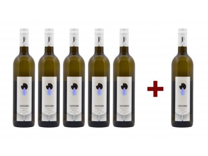 SAUVIGNON 2022, pozdní sběr (5+1)