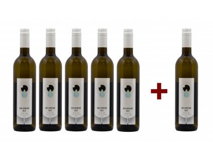 RULANDSKÉ BÍLÉ 2022, pozdní sběr (5+1)