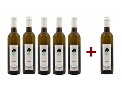 PÁLAVA 2022, výběr z hroznů (5+1) - sladká