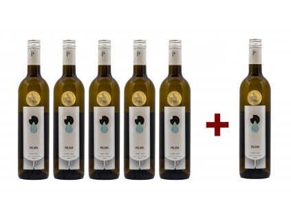 PÁLAVA 2022, pozdní sběr (5+1) - suchá