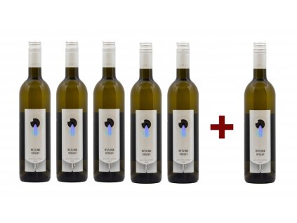 RYZLINK RÝNSKÝ, 2020, moravské zemské víno (5+1)