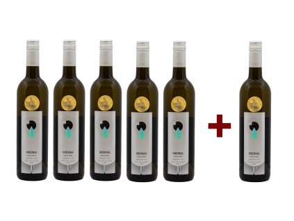 HIBERNAL 2022, kabinet, Veselá Hora (5+1)