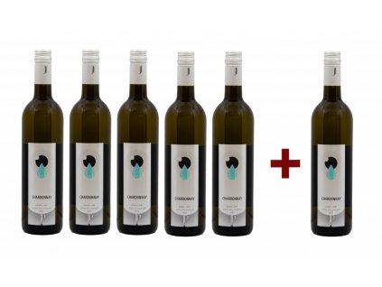 CHARDONNAY 2022, pozdní sběr (5+1)